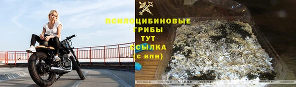 ECSTASY Алзамай