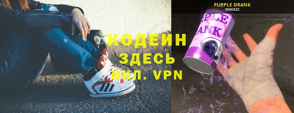 ECSTASY Алзамай