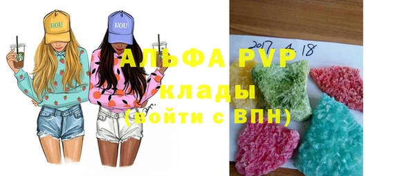 ECSTASY Алзамай