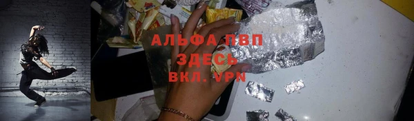 ECSTASY Алзамай