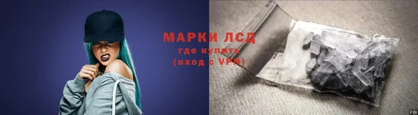 ECSTASY Алзамай