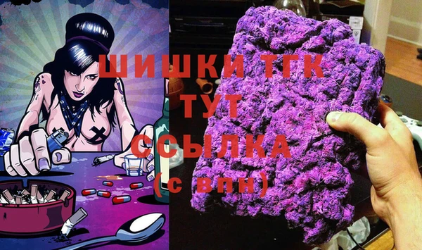 ECSTASY Алзамай