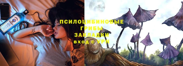 ECSTASY Алзамай